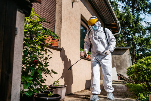 Pest Prevention Services in Wallace, LA