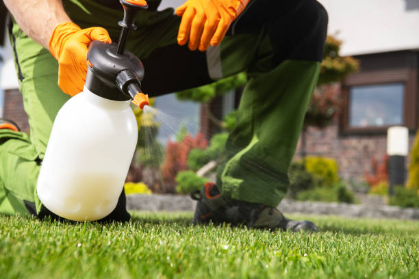 Best Insect Control  in Walce, LA