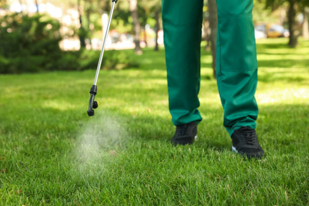 Best Wasp Removal Services  in Walce, LA