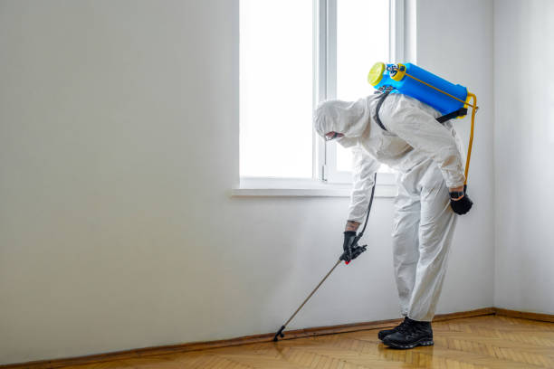 Best Commercial Pest Control Services  in Walce, LA