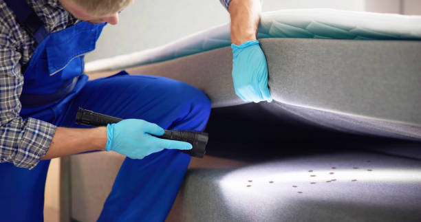 Best Affordable Pest Control Services  in Walce, LA
