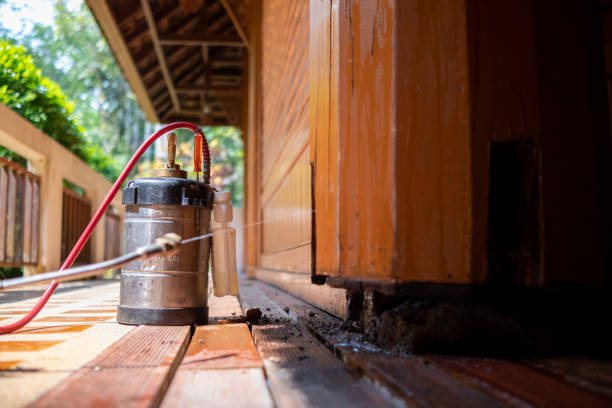 Best Pest Control for Homes  in Walce, LA