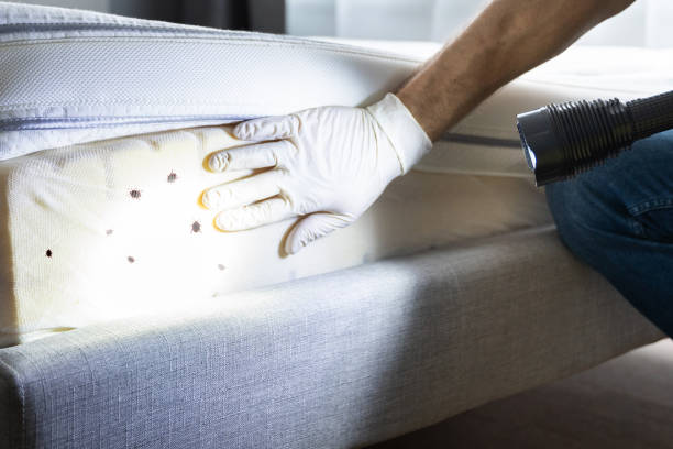 Best Pest Prevention Services  in Walce, LA