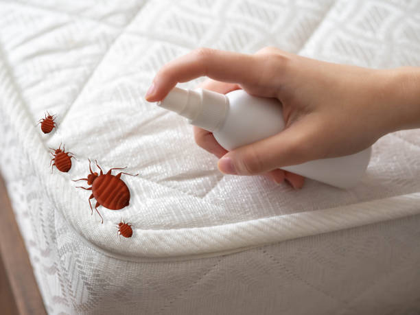 Best Pest Control for Businesses  in Walce, LA