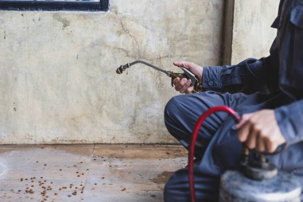 Best Flea Control Services  in Walce, LA
