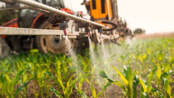 Best Pest Removal Services  in Walce, LA